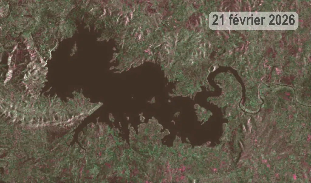 Terres de parcours : le retour spectaculaire du couvert végétal relance l’activité pastorale 2024