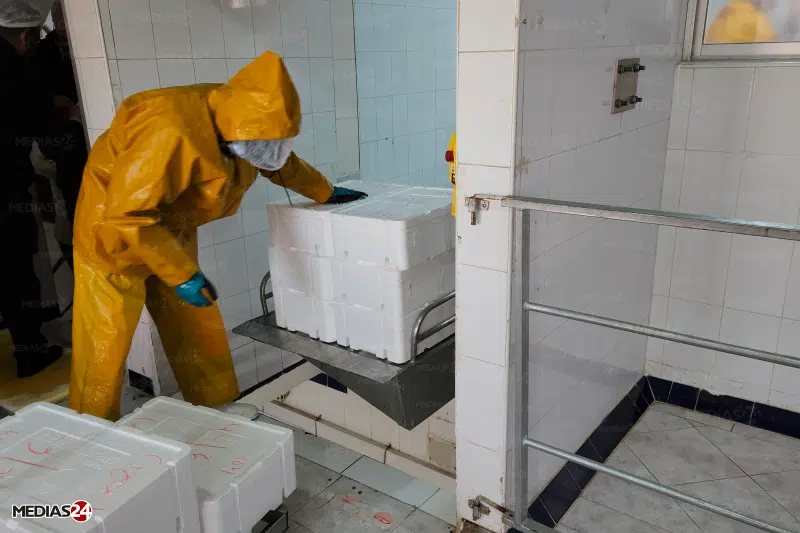 Reportage. Comment Marjane s'approvisionne éco-responsable auprès de producteurs locaux Reportage. Comment Marjane s'approvisionne éco-responsable auprès de producteurs locaux