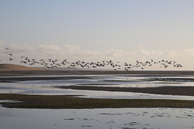 25 km de nage en eau libre: le Morocco swim trek met les sportifs à l’épreuve 25 km de nage en eau libre: le Morocco swim trek met les sportifs à l’épreuve