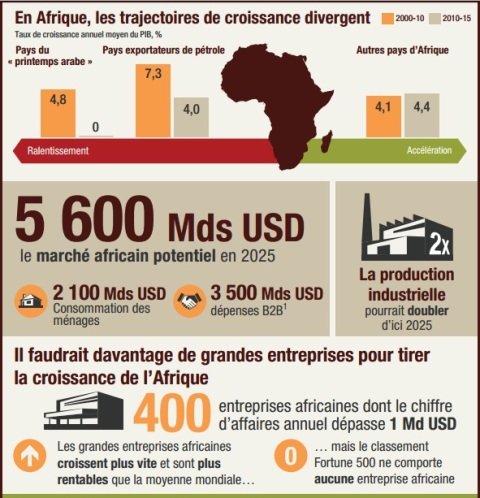 Economies africaines: les pistes pour s’en sortir, selon McKinsey Global Institute Economies africaines: les pistes pour s’en sortir, selon McKinsey Global Institute