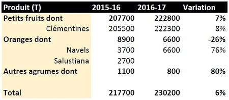 Les exportations d'agrumes progressent, malgré les aléas climatiques Les exportations d'agrumes progressent, malgré les aléas climatiques