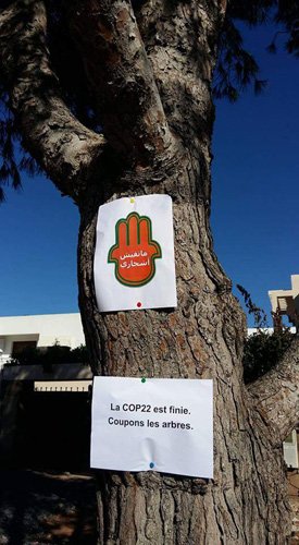 Rabat: Un sit-in pour protester contre le déracinement des arbres à Hay Riad Rabat: Un sit-in pour protester contre le déracinement des arbres à Hay Riad