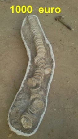 Le Maroc, paradis de la paléontologie et du trafic de fossiles Le Maroc, paradis de la paléontologie et du trafic de fossiles