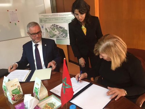 Une convention pour la promotion de la culture du quinoa au Maroc Une convention pour la promotion de la culture du quinoa au Maroc