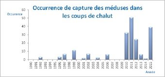 Méduses, poissons tropicaux, sardines…: Le réchauffement affecte déjà les mers marocaines Méduses, poissons tropicaux, sardines…: Le réchauffement affecte déjà les mers marocaines