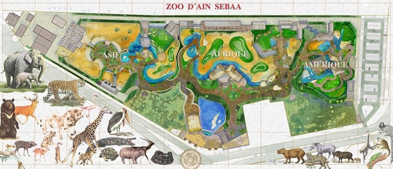 Zoo de Ain Sbaâ. La réouverture est prévue pour mars 2018 Zoo de Ain Sbaâ. La réouverture est prévue pour mars 2018