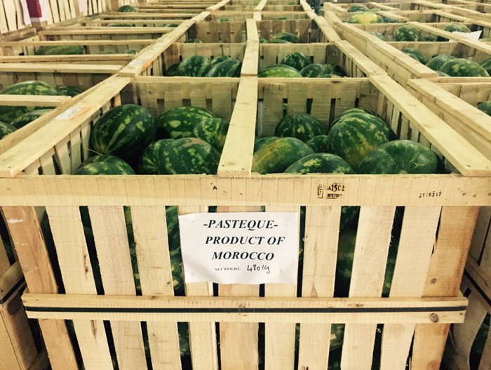 Qatar. Arrivée des produits alimentaires marocains (images) Qatar. Arrivée des produits alimentaires marocains (images)