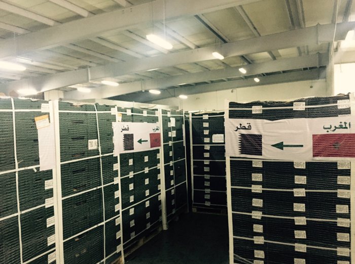 Qatar. Arrivée des produits alimentaires marocains (images) Qatar. Arrivée des produits alimentaires marocains (images)