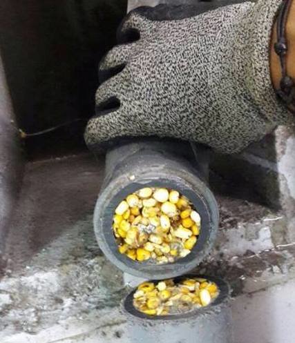 Casablanca. Des vigiles pour garder la nouvelle fontaine Casablanca. Des vigiles pour garder la nouvelle fontaine