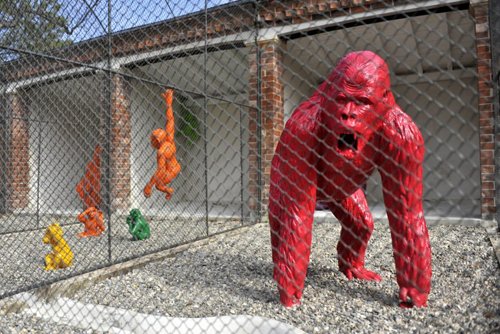 Le concept “Funny zoo” débarque à Casablanca Le concept “Funny zoo” débarque à Casablanca