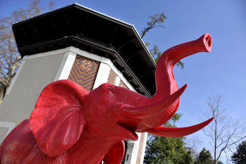 Le concept “Funny zoo” débarque à Casablanca Le concept “Funny zoo” débarque à Casablanca