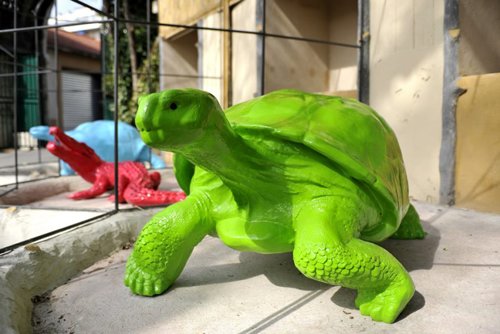 Le concept “Funny zoo” débarque à Casablanca Le concept “Funny zoo” débarque à Casablanca