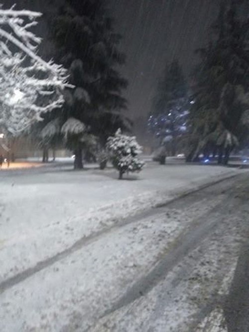 En images, premières neiges à Ifrane et à l'Oukaïmeden En images, premières neiges à Ifrane et à l'Oukaïmeden