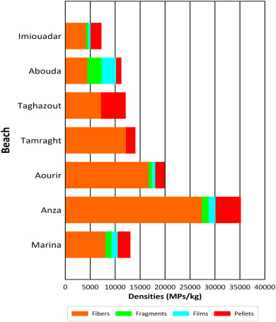 Agadir : une forte pollution aux microplastiques menace la faune marine Agadir : une forte pollution aux microplastiques menace la faune marine
