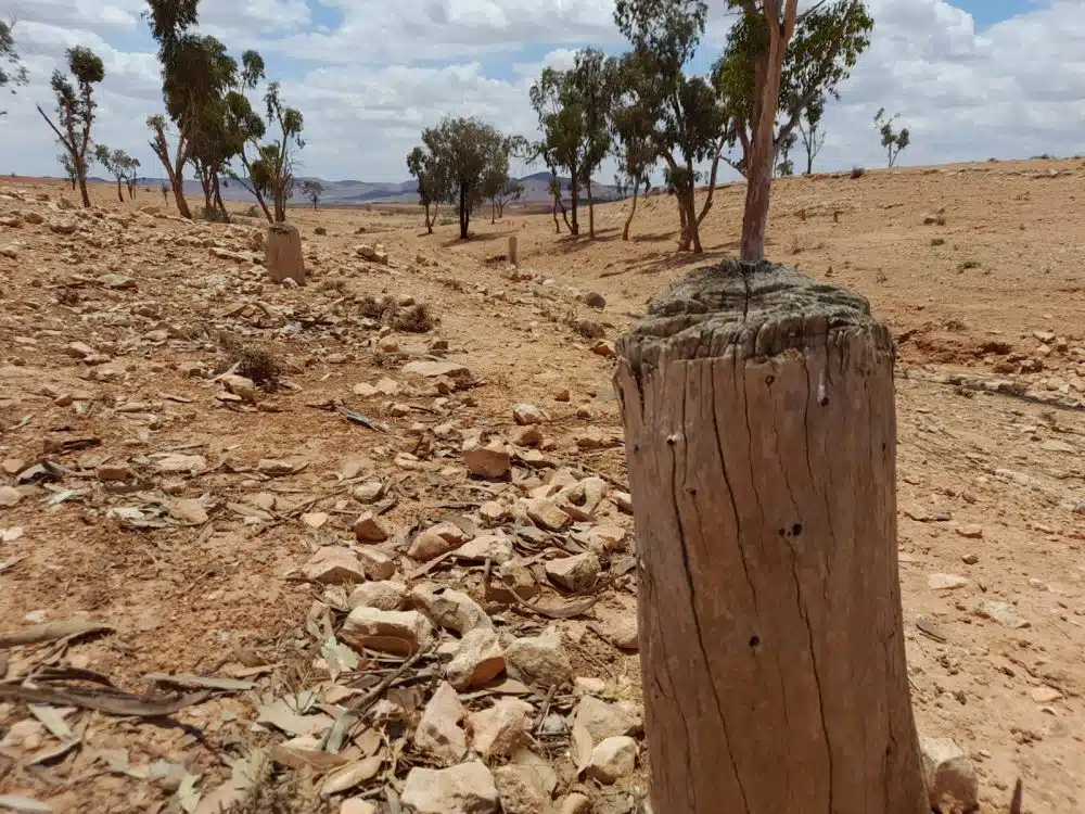Reportage. À 30 km de Settat, sur les berges asséchées du 2e plus grand barrage du Maroc Reportage. À 30 km de Settat, sur les berges asséchées du 2e plus grand barrage du Maroc