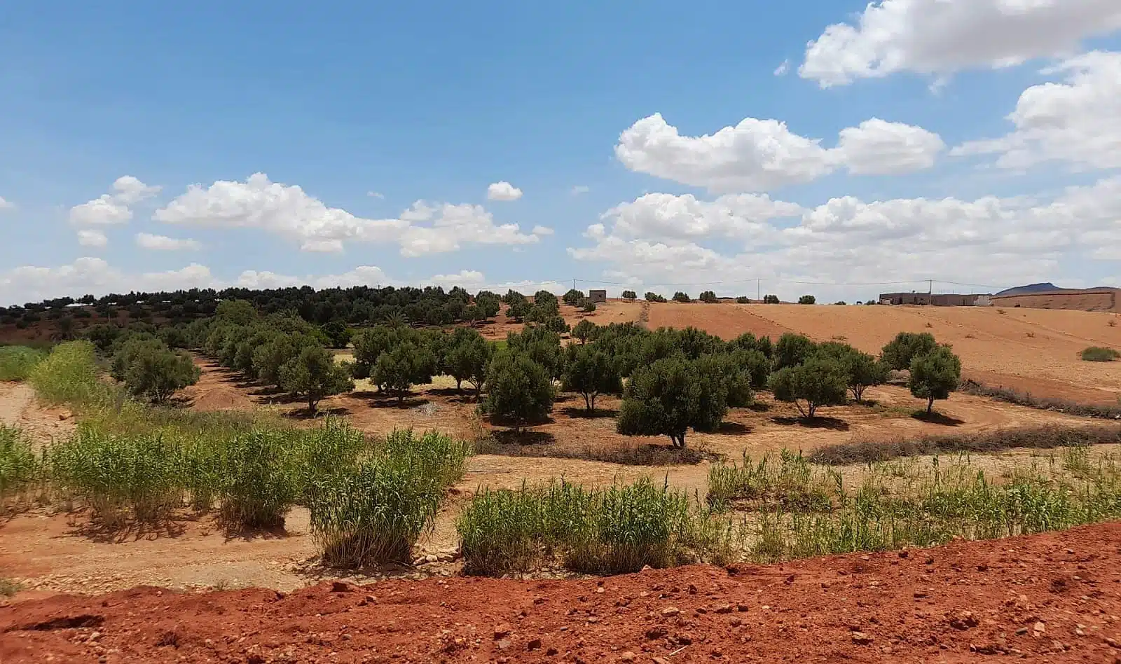 Reportage. À 30 km de Settat, sur les berges asséchées du 2e plus grand barrage du Maroc Reportage. À 30 km de Settat, sur les berges asséchées du 2e plus grand barrage du Maroc