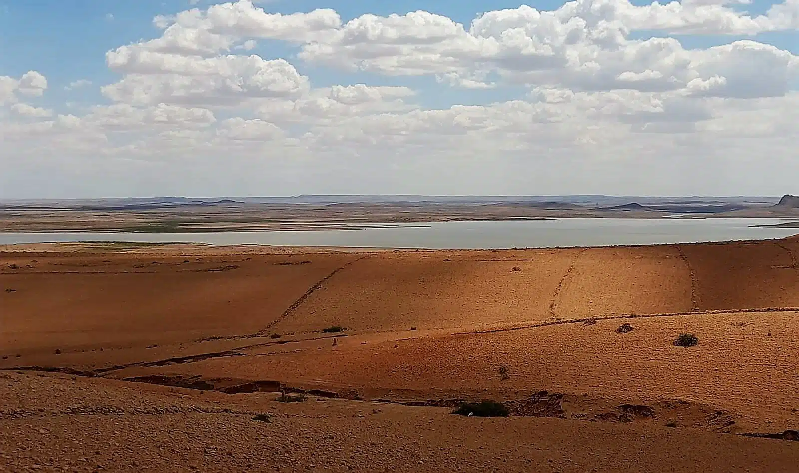 Reportage. À 30 km de Settat, sur les berges asséchées du 2e plus grand barrage du Maroc Reportage. À 30 km de Settat, sur les berges asséchées du 2e plus grand barrage du Maroc