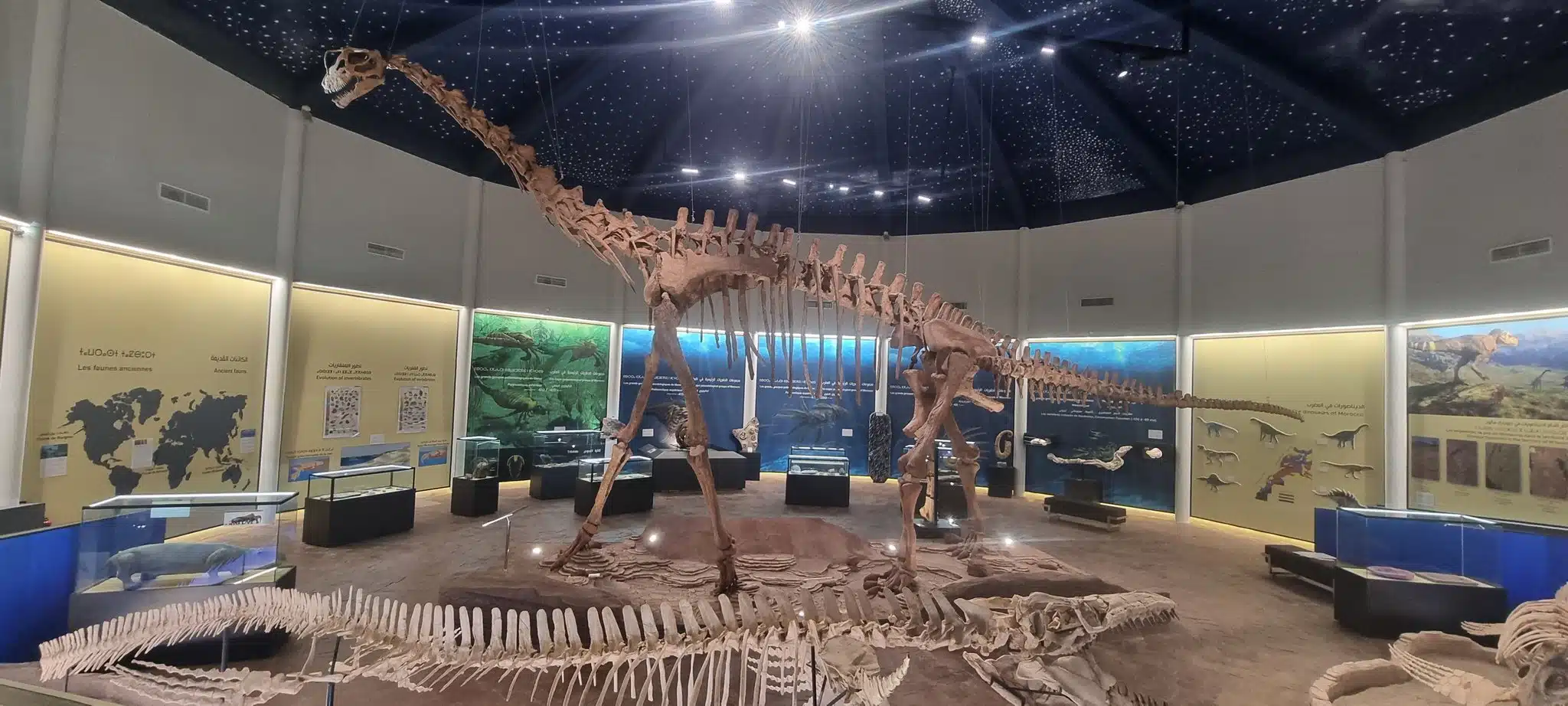 Ouverture du musée d'Azilal, une fenêtre ouverte sur les trésors de la terre et de l'univers Ouverture du musée d'Azilal, une fenêtre ouverte sur les trésors de la terre et de l'univers