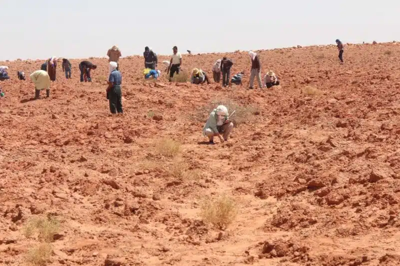 Quel lien entre le Sud du Maroc, la météorite martienne Tissint et la mission Osiris-Rex de la NASA ? Quel lien entre le Sud du Maroc, la météorite martienne Tissint et la mission Osiris-Rex de la NASA ?