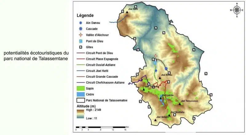 Parc national de Talassemtane. Au cœur des sapinières enneigées du Rif Parc national de Talassemtane. Au cœur des sapinières enneigées du Rif