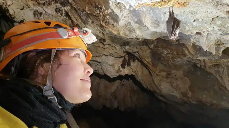 Parc national de Talassemtane. Au cœur des sapinières enneigées du Rif Parc national de Talassemtane. Au cœur des sapinières enneigées du Rif