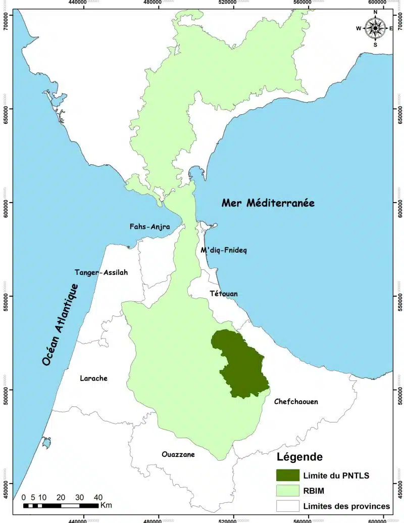 Parc national de Talassemtane. Au cœur des sapinières enneigées du Rif Parc national de Talassemtane. Au cœur des sapinières enneigées du Rif