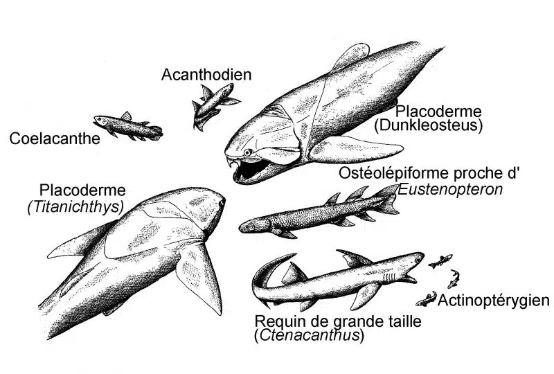 Voyage dans l’Anti-Atlas des créatures du monde marin disparu Voyage dans l’Anti-Atlas des créatures du monde marin disparu