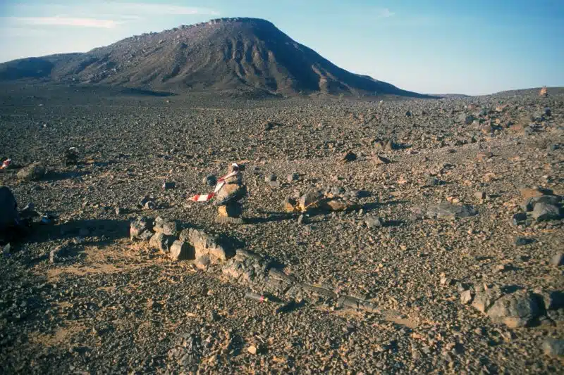 Voyage dans l’Anti-Atlas des créatures du monde marin disparu Voyage dans l’Anti-Atlas des créatures du monde marin disparu