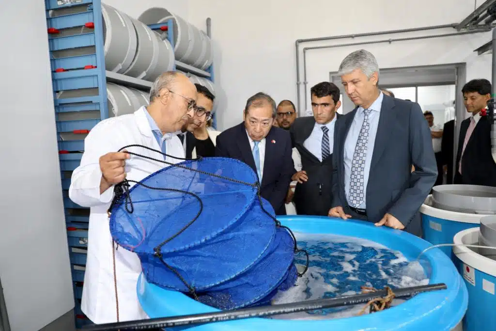 Aquaculture. Une écloserie de poissons marins inaugurée dans le Nord Aquaculture. Une écloserie de poissons marins inaugurée dans le Nord