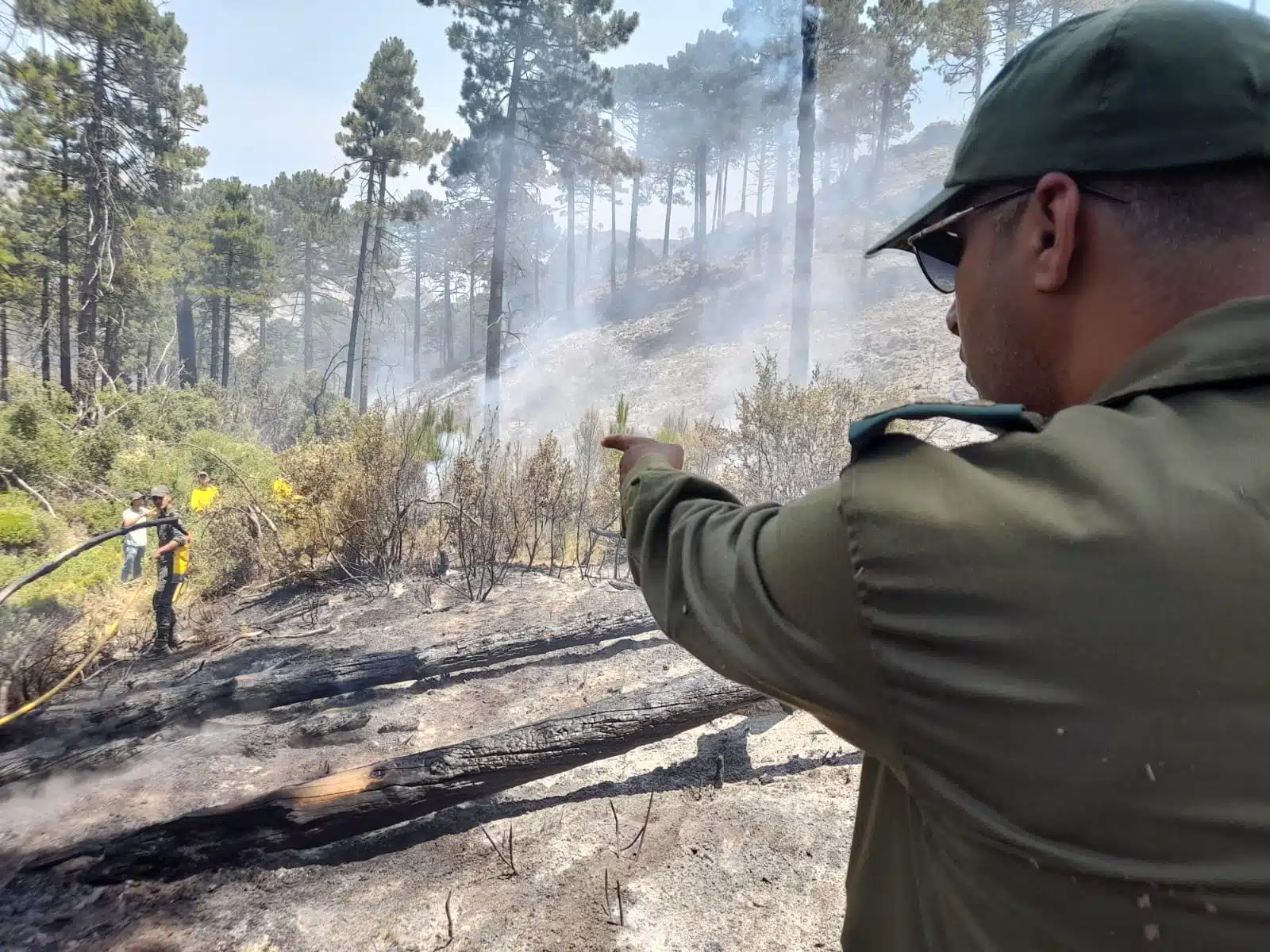 Récit. Comment le feu de forêt du Jbel Kharbouch a été maîtrisé Récit. Comment le feu de forêt du Jbel Kharbouch a été maîtrisé