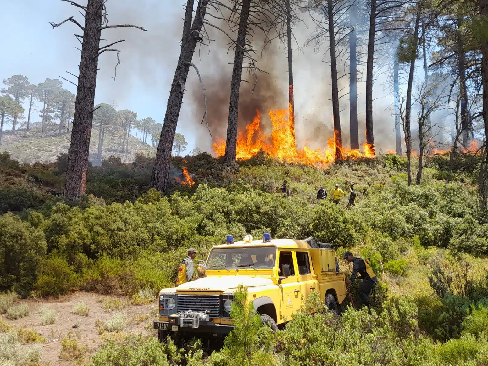 Récit. Comment le feu de forêt du Jbel Kharbouch a été maîtrisé Récit. Comment le feu de forêt du Jbel Kharbouch a été maîtrisé