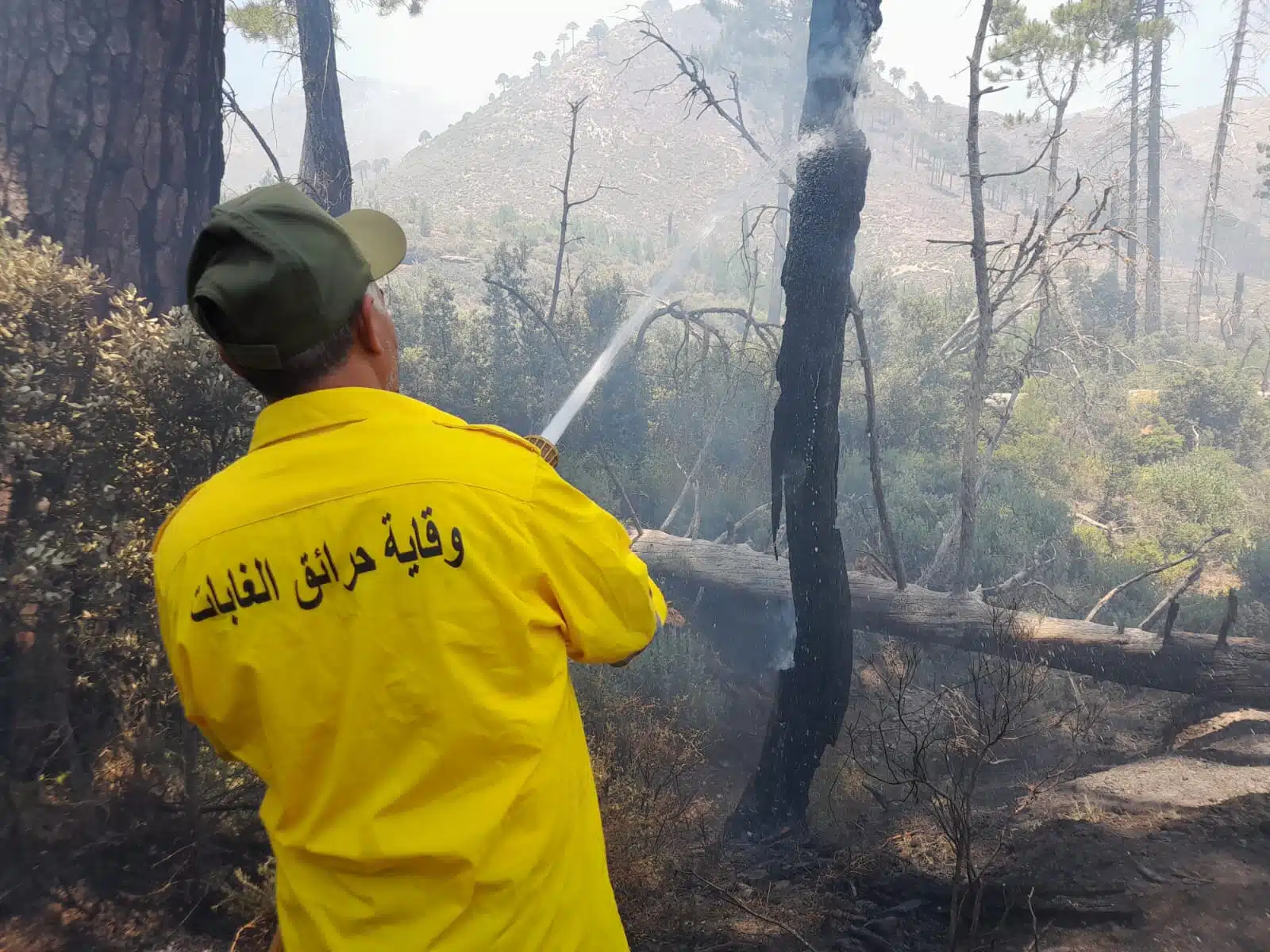 Récit. Comment le feu de forêt du Jbel Kharbouch a été maîtrisé Récit. Comment le feu de forêt du Jbel Kharbouch a été maîtrisé