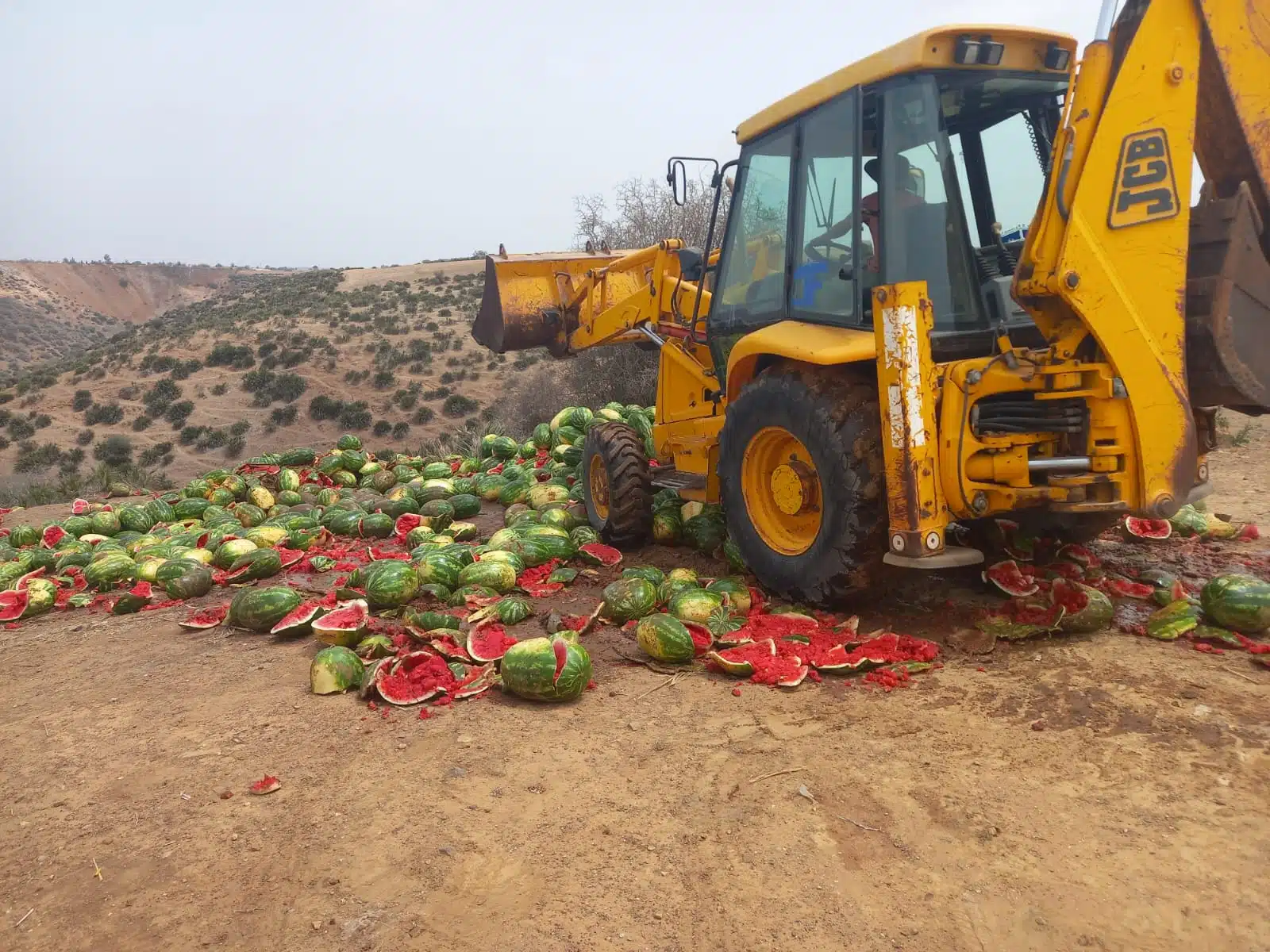 Questionnements autour de la salubrité des pastèques marocaines : Pesticides et conformité en débat Questionnements autour de la salubrité des pastèques marocaines : Pesticides et conformité en débat