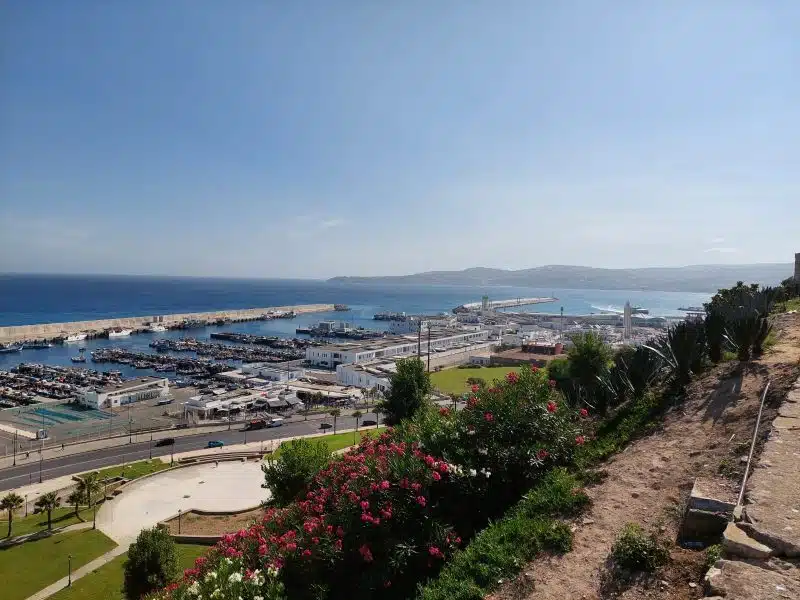 À Tanger, retour sur l'histoire oubliée du premier musée au Maroc (Entretien avec Ech cherki Dahmali) À Tanger, retour sur l'histoire oubliée du premier musée au Maroc (Entretien avec Ech cherki Dahmali)