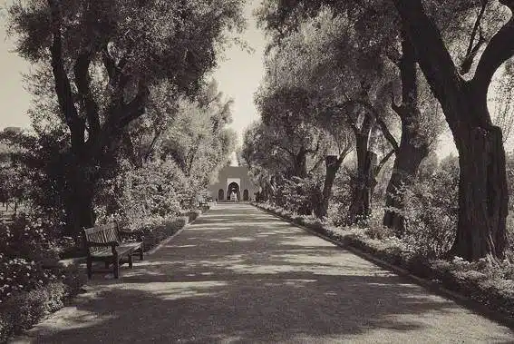Un siècle d’existence pour “La Mamounia”, temple du savoir-vivre marocain Un siècle d’existence pour “La Mamounia”, temple du savoir-vivre marocain