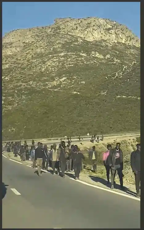 La force publique déjoue une tentative d'assaut vers Sebta, menée par un millier de migrants La force publique déjoue une tentative d'assaut vers Sebta, menée par un millier de migrants