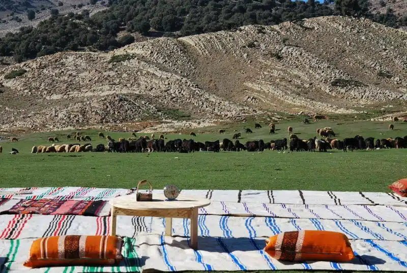 Béni Mellal-Khénifra : à la découverte des mille et un territoires du Moyen Atlas Béni Mellal-Khénifra : à la découverte des mille et un territoires du Moyen Atlas