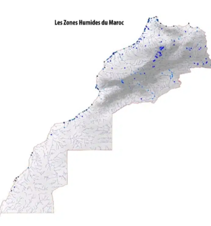 Au Maroc, les zones humides de plus en plus menacées par la sécheresse Au Maroc, les zones humides de plus en plus menacées par la sécheresse