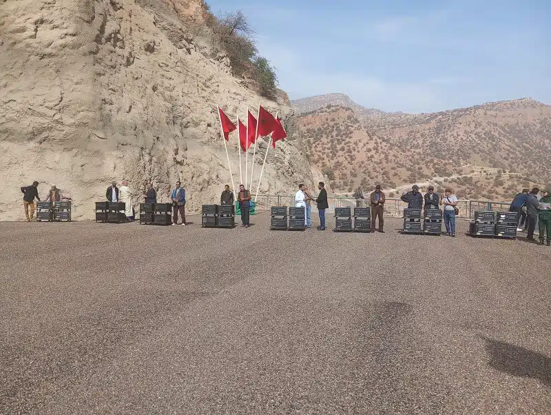 2,7 MMDH pour la réhabilitation des forêts et l’aménagement des bassins versants dans les zones touchées par le séisme d’Al Haouz 2,7 MMDH pour la réhabilitation des forêts et l’aménagement des bassins versants dans les zones touchées par le séisme d’Al Haouz