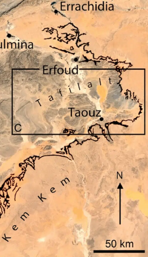 Une nouvelle espèce de dinosaure identifiée à Kem Kem Une nouvelle espèce de dinosaure identifiée à Kem Kem