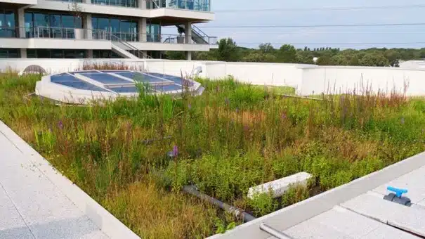 Eau non conventionnelle : nouvelles solutions technologiques pour la réutilisation des eaux grises Eau non conventionnelle : nouvelles solutions technologiques pour la réutilisation des eaux grises