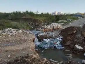 Les forêts de Tanger menacées par l’invasion des déchets de construction Les forêts de Tanger menacées par l’invasion des déchets de construction