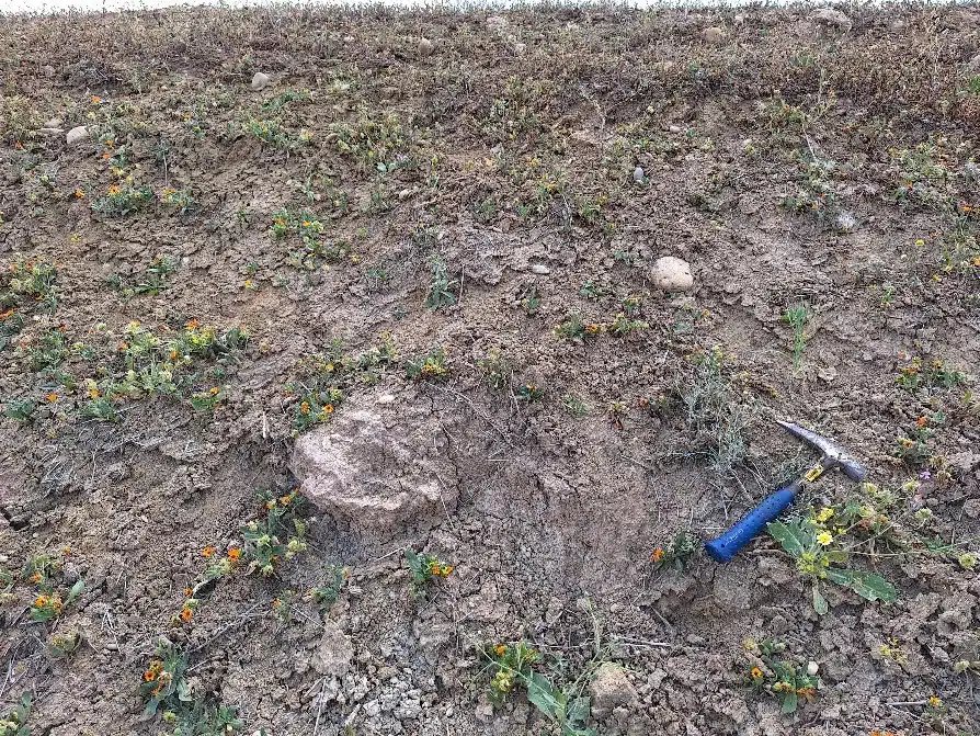 Mise en évidence de volcans de boue liés à des hydrates de gaz à Ain Kansra dans la province de Moulay Yaâcoub Mise en évidence de volcans de boue liés à des hydrates de gaz à Ain Kansra dans la province de Moulay Yaâcoub