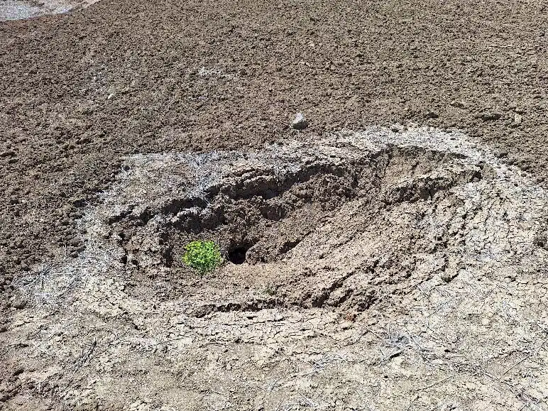Mise en évidence de volcans de boue liés à des hydrates de gaz à Ain Kansra dans la province de Moulay Yaâcoub Mise en évidence de volcans de boue liés à des hydrates de gaz à Ain Kansra dans la province de Moulay Yaâcoub