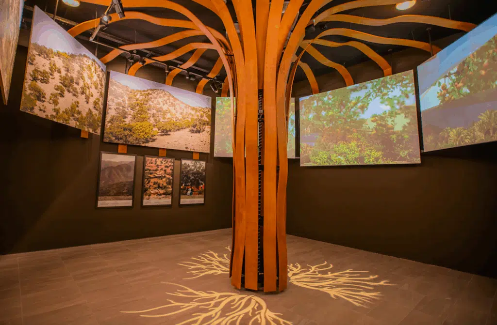 La SAPST célèbre la Journée mondiale de l'arganier La SAPST célèbre la Journée mondiale de l'arganier