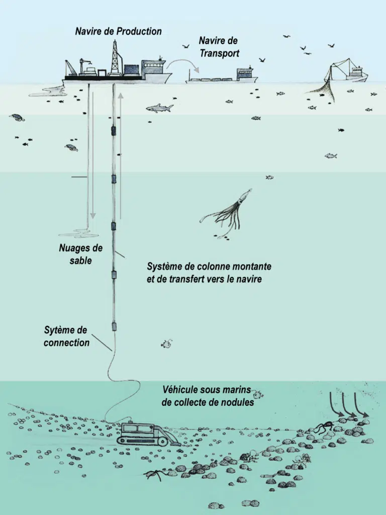 Métaux stratégiques. Quelles sont les richesses minérales du mont Tropic ? Métaux stratégiques. Quelles sont les richesses minérales du mont Tropic ?