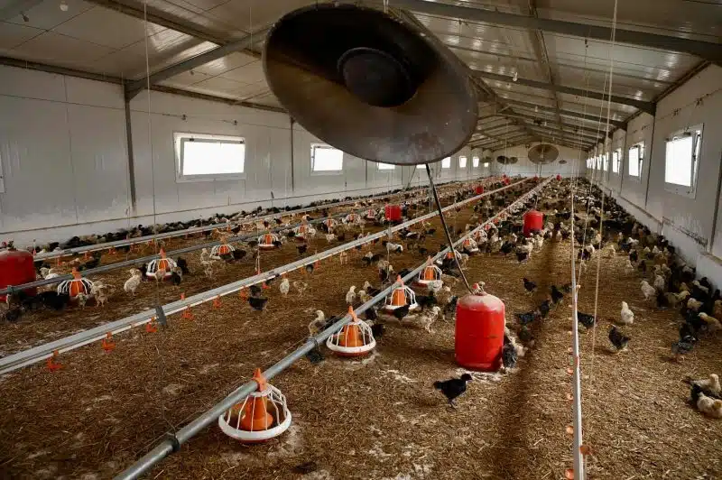 Agadir Ida Outanane : Sadiki fait le point sur trois projets de développement agricole et rural Agadir Ida Outanane : Sadiki fait le point sur trois projets de développement agricole et rural