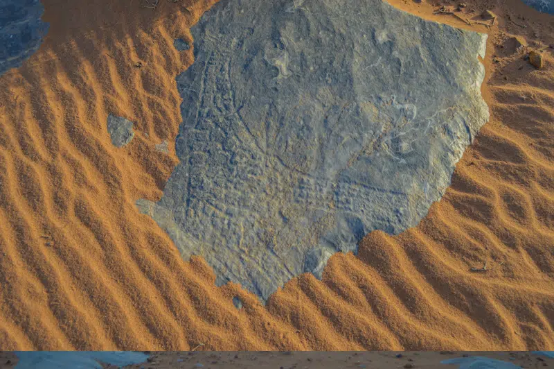 Laghchiwat. Exploration d’un site historique méconnu aux confins du désert Laghchiwat. Exploration d’un site historique méconnu aux confins du désert