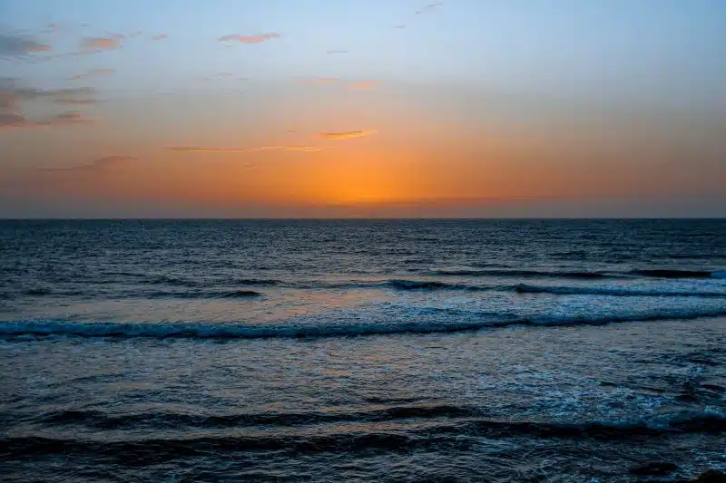 Zine El Abidine Charafeddine : “Le capital culturel local de Dakhla est immensément riche et nous voulons le montrer et le partager avec tous”(2/2) Zine El Abidine Charafeddine : “Le capital culturel local de Dakhla est immensément riche et nous voulons le montrer et le partager avec tous”(2/2)