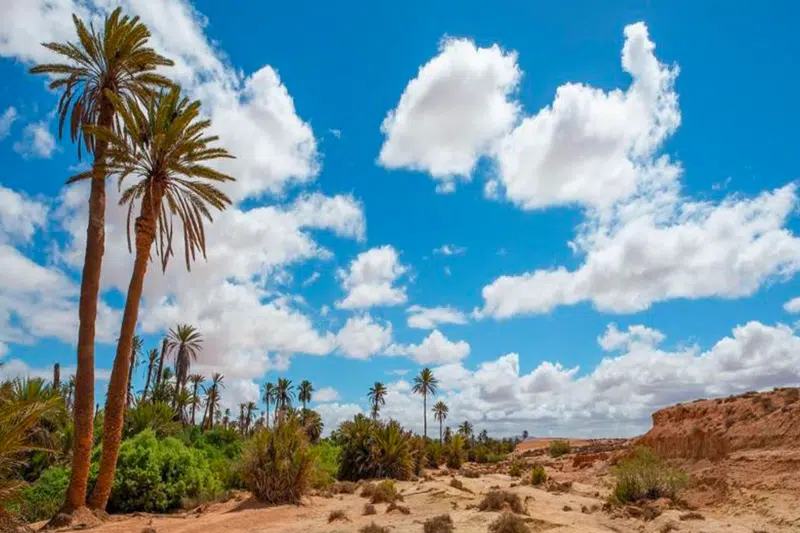 Guelmim, terre d'accueil des excursions désertiques Guelmim, terre d'accueil des excursions désertiques